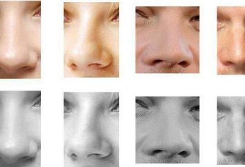 Nos, fizjonomia: opis kształtu i cech