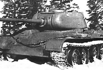 T-44: "Świat Tunxi". T-44: Dane techniczne, zdjęcia