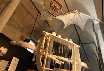 „Joann Krestitel“ von Leonardo da Vinci: Das Bild Beschreibung