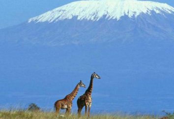 Geokoordinaten vulkanischen und andere Merkmale Kilimanjaro