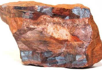 Mineralische Ressourcen des Gebiets Belgorod: Eisenerz, und alles andere