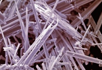 Asbest: der Schaden für die menschliche Gesundheit