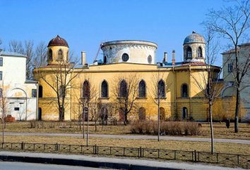 Chesme Palais à Saint-Pétersbourg: Histoire, adresse, photos
