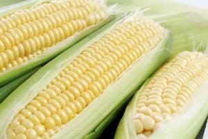 Wo das Problem und wie die Karte „Corn“ nachzufüllen