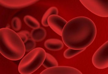 Come sottile le spesse rimedi popolari sangue? Prodotti, fluidificanti del sangue. preparativi