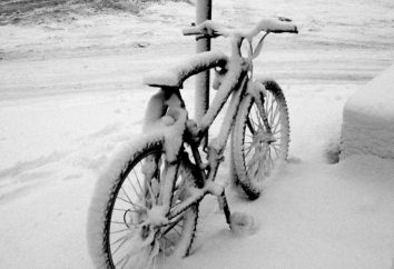 przechowywanie rowerów w zimie tips