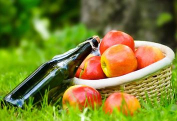 Selbst gemachter Wein aus Äpfeln: ein langer Weg zu den unvergesslichen Empfindungen