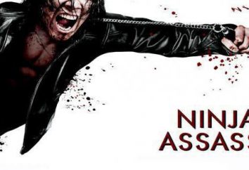 Non giocare con la sabbia nera! Il film "Ninja Assassin": attori, ruoli e trama