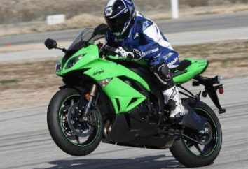 Motorrad "Kawasaki Ninja 600" (Kawasaki Ninja): Spezifikationen, Beschreibungen, Bewertungen