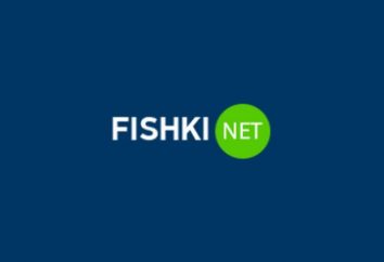 portail de divertissement « Fishki.net »: homologues, le public et l'histoire de l'émergence