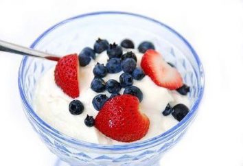 Come cucinare il yogurt in uno yogurt a casa