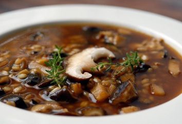 soupe aux champignons de calories satisfait à toutes les contraintes de régime strict