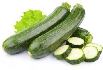 Aliments diététiques pour la perte de poids Zucchini Recettes