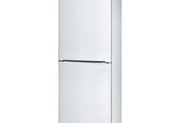 Wie viel Strom verbraucht der Kühlschrank? billige Kühlschränke