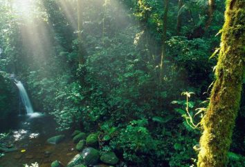 Atrakcje Kostaryka: opis, historia i opinie