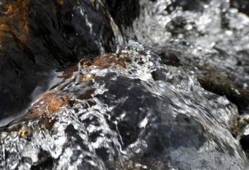 „Vittel“ – Wasser, von der Natur geschaffen