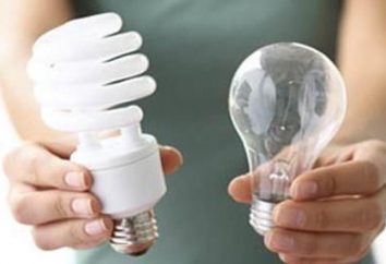 L'utilizzo di lampade a risparmio energetico: norme, punti di raccolta a Mosca e San Pietroburgo