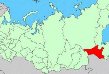 bandiera divisione amministrativa e regione Amur cappotto