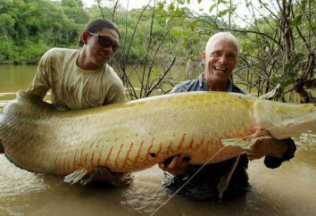 Arapaima (pesce): descrizione, l'habitat e le foto