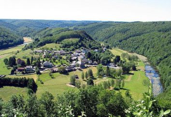 Arden (Bélgica). florestas de Ardennes: o papel da Primeira e Segunda Guerras Mundiais