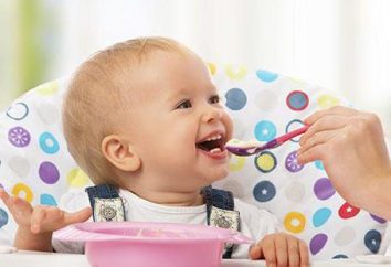 Co ugotować na obiad dziecka 2 lata szybkie i smaczne?
