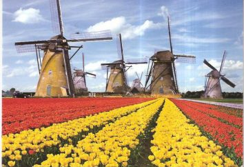 Kraj Holandia: miasto, największe miasto