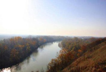Labe – rivière le territoire de Krasnodar