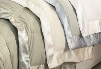 Was ist der beste Füllstoff für Decken: Arten und Unterschiede