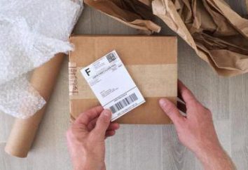 Service de livraison de courrier « Bring »: courriers critiques