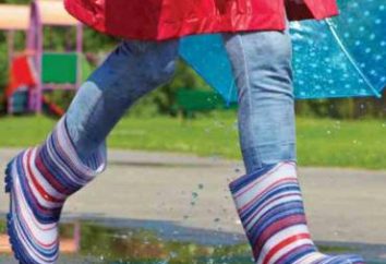 Calzado Co "Demar": botas de goma para el tiempo lluvioso