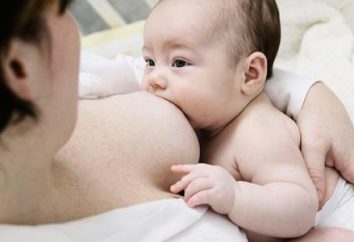 La leche materna: ¿por qué es tan útil?