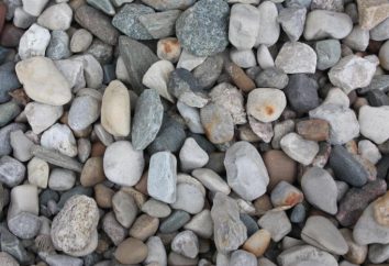 Stone – une substance ou d'un organisme? types de pierres