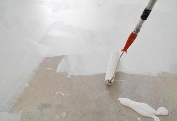 Melhor pintura no piso resistente ao desgaste concreto