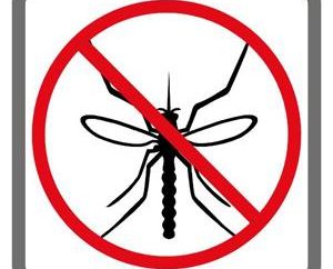 O remédio mais eficaz para os mosquitos no mercado