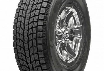Reifen Dunlop Grandtrek SJ6: Bewertungen der Eigentümer