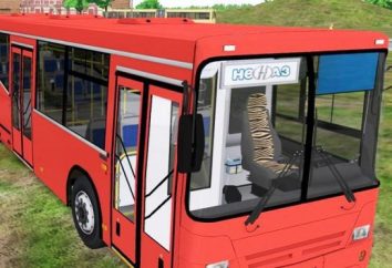 Autobusy NefAZ-5299: opis, modyfikacje