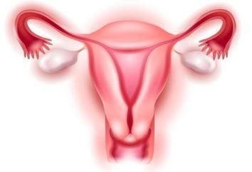 Asignación después de la extirpación del útero: el tratamiento. Extirpación del útero después de 50 años: las consecuencias
