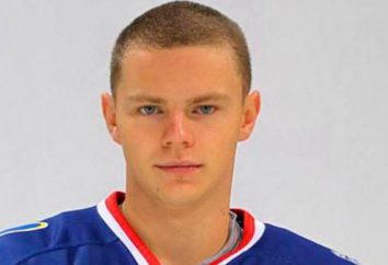 l'attaccante russo Dmitry Mihaylov: La storia della carriera di un giocatore di hockey