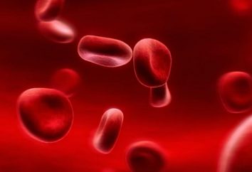 Poziom hemoglobiny we krwi: norma i patologia