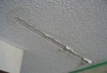 Come allineare il soffitto con l'aiuto di stucco, gesso e cartongesso