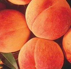 Peach de color es especialmente importante en la primavera