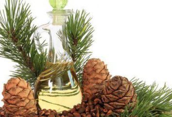 óleo essencial de pinheiro: propriedades e aplicações na medicina
