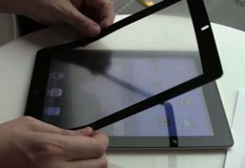 película protectora para el iPad: cómo mantener dispositivo de pantalla