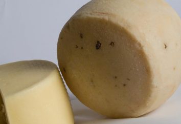 Kachotta – półmiękki ser włoski kulinarne. Porady Gotowanie
