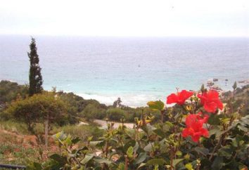 Hotel „Konnos Bay” Cypr: opis i opinie