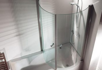 Bildschirm für Bad – Praktikabilität, Komfort, Schönheit
