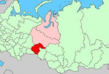 Ciudad de la región de Tyumen: la riqueza del país