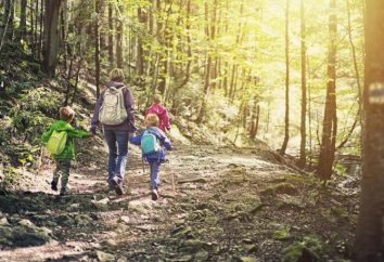 "Trekking in the forest" – un essai pour les enfants d'âge scolaire