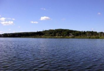 Dudergofskoe lago: descrição e comentários
