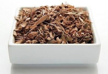 tea Koporye – una bevanda tradizionale russo